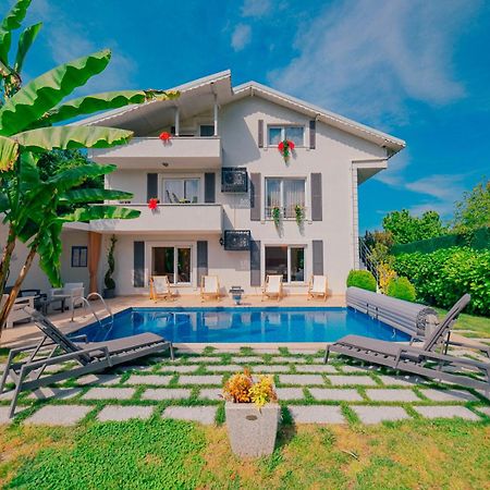 Villa Atlas Muhafazakar Havuzlu, Mustakil Genis Bahceli Sapanca Εξωτερικό φωτογραφία