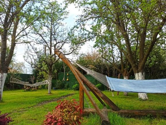 Villa Atlas Muhafazakar Havuzlu, Mustakil Genis Bahceli Sapanca Εξωτερικό φωτογραφία