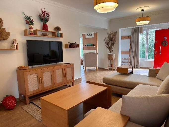 Villa Atlas Muhafazakar Havuzlu, Mustakil Genis Bahceli Sapanca Εξωτερικό φωτογραφία